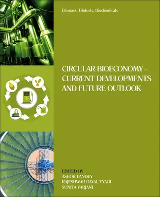 Biomasse, biocarburanti, prodotti biochimici: Bioeconomia circolare - Sviluppi attuali e prospettive future - Biomass, Biofuels, Biochemicals: Circular Bioeconomy--Current Developments and Future Outlook