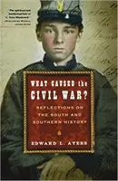Che cosa ha causato la guerra civile? Riflessioni sul Sud e sulla storia del Sud - What Caused the Civil War?: Reflections on the South and Southern History