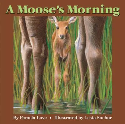 Il mattino di un alce - A Moose's Morning