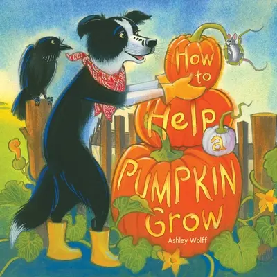 Come aiutare una zucca a crescere - How to Help a Pumpkin Grow