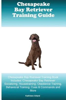 Guida all'addestramento del Chesapeake Bay Retriever Il libro sull'addestramento del Chesapeake Bay Retriever comprende: Socializzazione, addestramento alla casa, obbedienza del Chesapeake Bay Retriever - Chesapeake Bay Retriever Training Guide Chesapeake Bay Retriever Training Book Includes: Chesapeake Bay Retriever Socializing, Housetraining, Obedienc