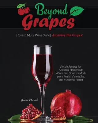 Oltre l'uva: come fare il vino con tutto tranne che con l'uva - Beyond Grapes: How to Make Wine Out of Anything But Grapes