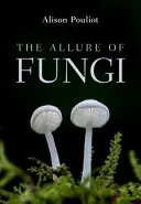 Il fascino dei funghi - The Allure of Fungi