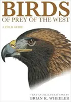 Uccelli da preda dell'Occidente: Una guida da campo - Birds of Prey of the West: A Field Guide