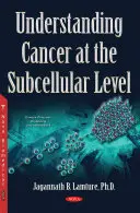 Capire il cancro a livello subcellulare - Understanding Cancer at the Subcellular Level