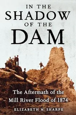All'ombra della diga: le conseguenze dell'alluvione del Mill River del 1874 - In the Shadow of the Dam: The Aftermath of the Mill River Flood of 1874