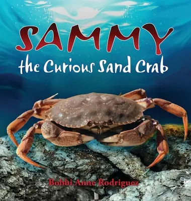 Sammy il granchio curioso - Sammy the Curious Sand Crab