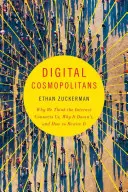 Cosmopoliti digitali: Perché pensiamo che Internet ci connetta, perché non lo fa e come ricablarlo - Digital Cosmopolitans: Why We Think the Internet Connects Us, Why It Doesn't, and How to Rewire It
