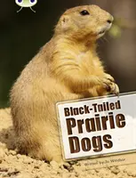 Bug Club Independent Non Fiction Anno due Bianco B Cani della prateria dalla coda nera - Bug Club Independent Non Fiction Year Two White B Black-tailed Prairie Dogs