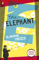 Elefante - Elephant