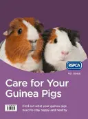 Cura dei porcellini d'India - Care for Your Guinea Pigs