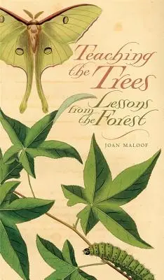 Insegnare agli alberi: Lezioni dalla foresta - Teaching the Trees: Lessons from the Forest
