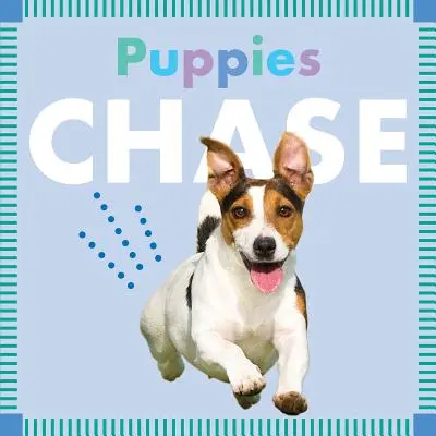 Cuccioli che inseguono - Puppies Chase