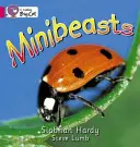 Minibestia - Minibeasts