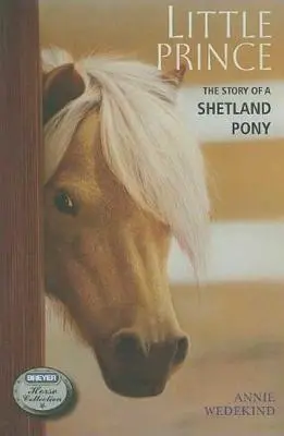 Il piccolo principe: storia di un pony Shetland - Little Prince: The Story of a Shetland Pony