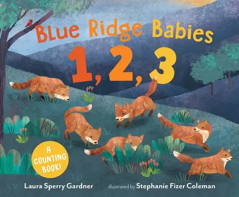 Blue Ridge Babies 1, 2, 3: un libro per contare - Blue Ridge Babies 1, 2, 3: A Counting Book