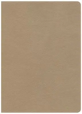 Bibbia CSB She Reads Truth, Pelle-touch oro, indicizzata: Spazio per appunti, devozioni, piani di lettura, caratteri di facile lettura - CSB She Reads Truth Bible, Champagne Gold Leathertouch, Indexed: Notetaking Space, Devotionals, Reading Plans, Easy-To-Read Font