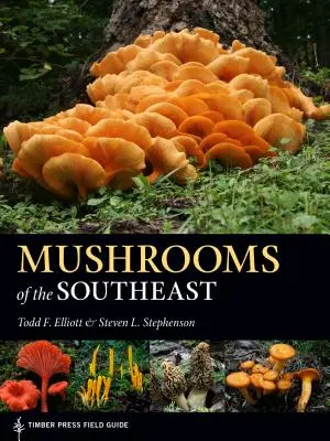 Funghi del sud-est - Mushrooms of the Southeast