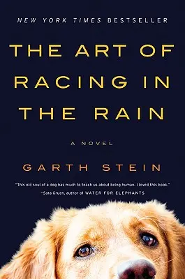 L'arte di correre sotto la pioggia - The Art of Racing in the Rain