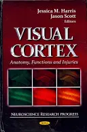 Corteccia visiva - Anatomia, funzioni e lesioni - Visual Cortex - Anatomy, Functions & Injuries