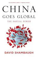 La Cina diventa globale: il potere parziale - China Goes Global: The Partial Power