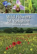 Fiori selvatici dello Yorkshire - Wild Flowers of Yorkshire
