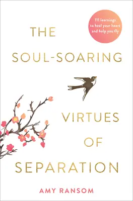 Le virtù della separazione che fanno crescere l'anima - The Soul-Soaring Virtues of Separation