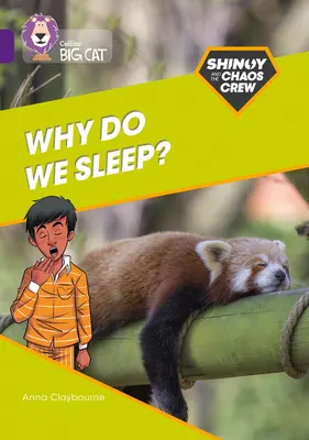 Shinoy e la Chaos Crew: Perché dormiamo? - Banda 08/Viola - Shinoy and the Chaos Crew: Why do we sleep? - Band 08/Purple
