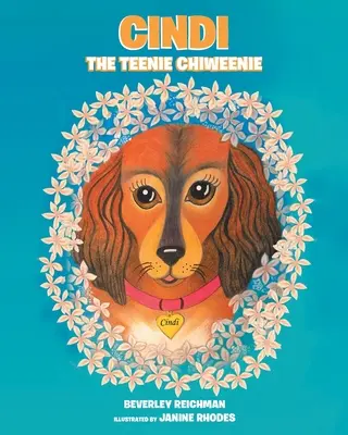 Cindi il piccolo Chiweenie - Cindi the Teenie Chiweenie