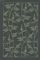 Il cofanetto delle sorelle Bront: Jane Eyre; Cime tempestose; L'inquilino di Wildfell Hall; Villette - The Bront Sisters Boxed Set: Jane Eyre; Wuthering Heights; The Tenant of Wildfell Hall; Villette