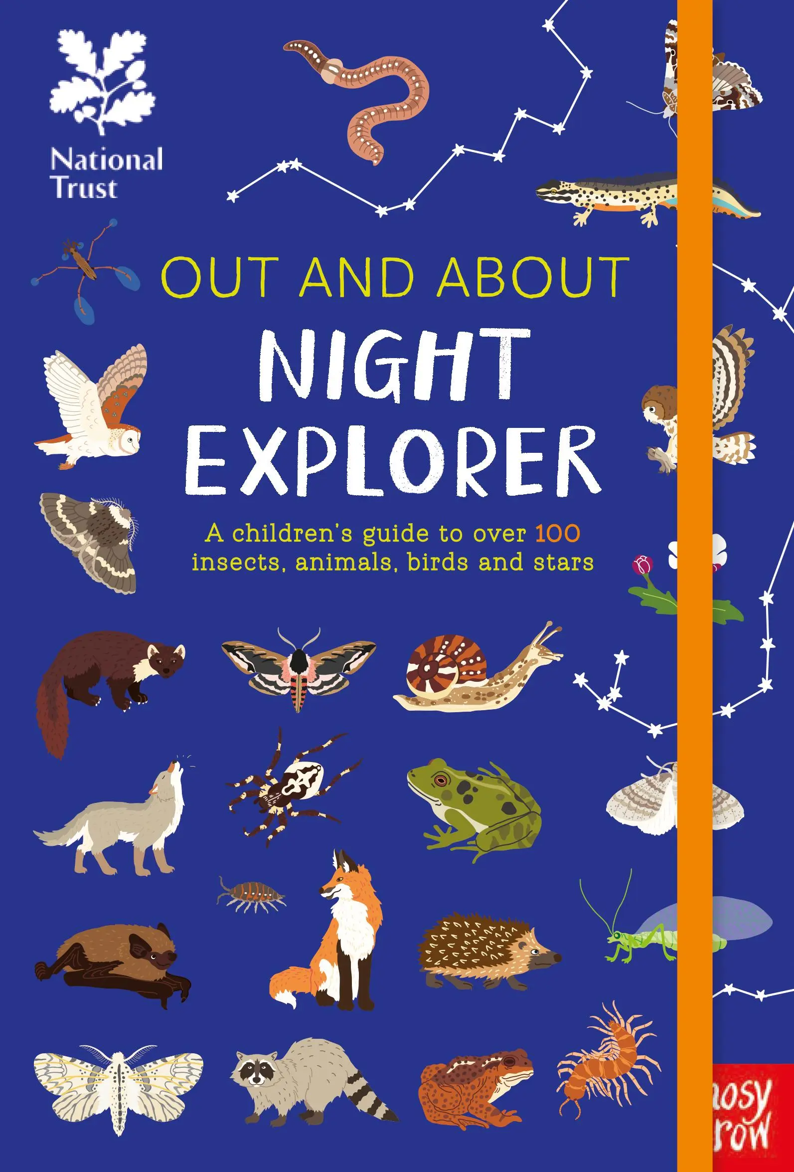 National Trust: Out and About Night Explorer - Una guida per bambini su oltre 100 insetti, animali, uccelli e stelle - National Trust: Out and About Night Explorer - A children's guide to over 100 insects, animals, birds and stars