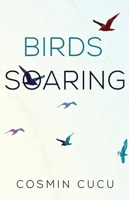 Uccelli in volo - Birds Soaring