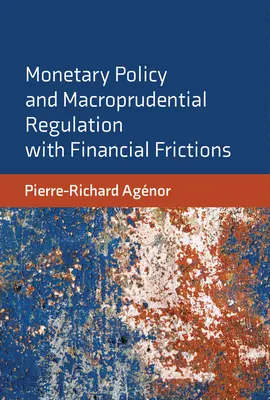 Politica monetaria e regolamentazione macroprudenziale con le frizioni finanziarie - Monetary Policy and Macroprudential Regulation with Financial Frictions