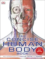 Libro conciso sul corpo umano - Una guida illustrata alla sua struttura, alle sue funzioni e ai suoi disturbi - Concise Human Body Book - An illustrated guide to its structure, function and disorders