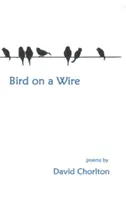 Uccello su un filo - Bird on a Wire