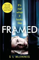 Framed - un thriller psicologico assolutamente avvincente con un colpo di scena sconvolgente - Framed - an absolutely gripping psychological thriller with a shocking twist