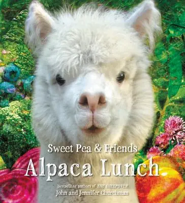 Pranzo a base di alpaca - Alpaca Lunch