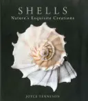 Conchiglie: Le squisite creazioni della natura - Shells: Nature's Exquisite Creations
