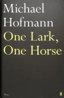 Un'allodola, un cavallo - One Lark, One Horse