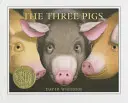 Tre maiali - Three Pigs