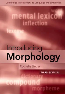 Introduzione alla morfologia - Introducing Morphology