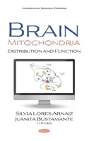 Mitocondri cerebrali - Distribuzione e funzione - Brain Mitochondria - Distribution and Function