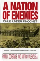 Una nazione di nemici: Il Cile sotto Pinochet - A Nation of Enemies: Chile Under Pinochet