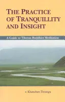 La pratica della tranquillità e dell'intuizione: Guida alla meditazione buddista tibetana - The Practice of Tranquillity and Insight: A Guide to Tibetan Buddhist Meditation
