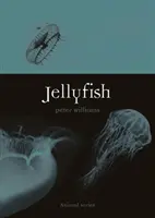 Medusa - Jellyfish