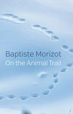 Sulle tracce degli animali - On the Animal Trail