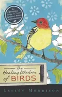 La saggezza guaritrice degli uccelli: Una guida quotidiana ai loro canti e simbolismi spirituali - The Healing Wisdom of Birds: An Everyday Guide to Their Spiritual Songs & Symbolism