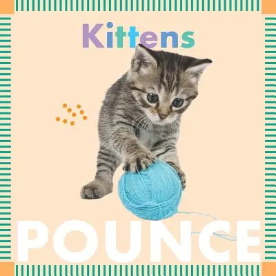Gattini che saltano - Kittens Pounce