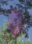 Viviane Sassen: Specchio caldo - Viviane Sassen: Hot Mirror