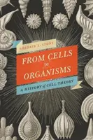 Dalle cellule agli organismi: Rivedere la teoria cellulare - From Cells to Organisms: Re-Envisioning Cell Theory